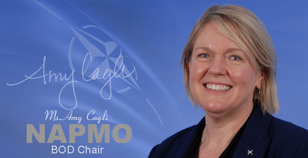 NAMPO BOD Chair